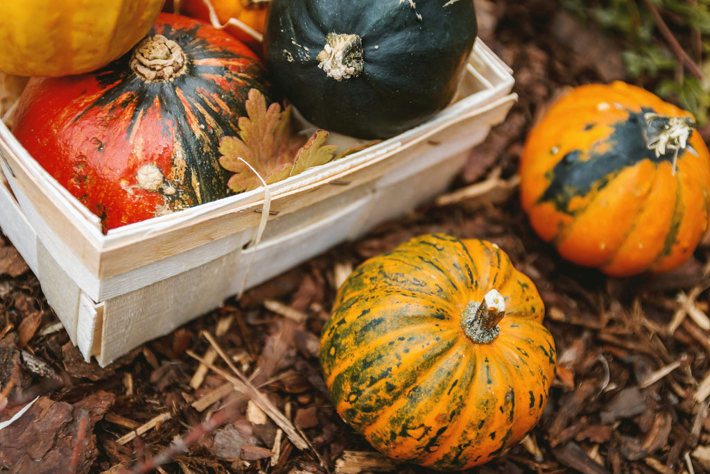 More Than Decorations: Pumpkin in Traditional Chinese medicine