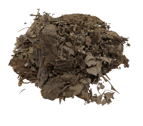 Fu Rong Plant Fu Rong Ye (Hibiscus Leaf, Folium Hibsci, 芙蓉叶 – The Herb Depot