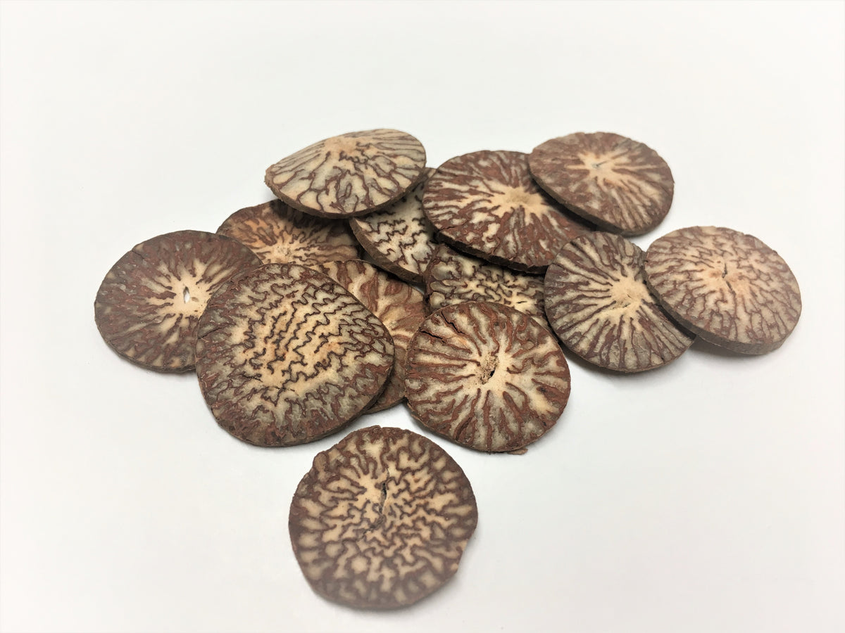 Bing Lang (Betel Nut, Semen Arecae, 槟榔) Chinese Herbs Bulk Chinese