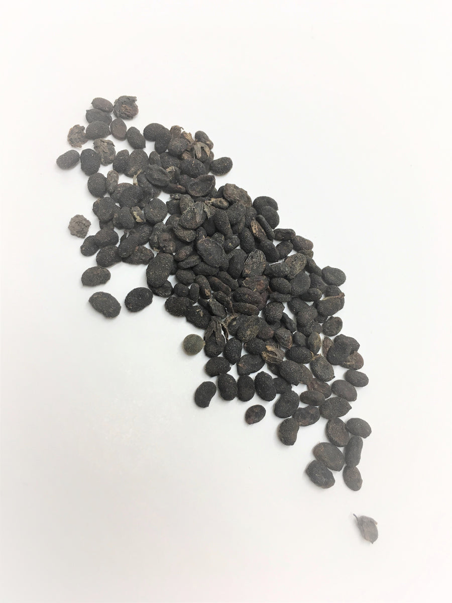 Bu Gu Zhi (Psoralea Fruit, Fructus Psoraleae, 补骨脂) Chinese Herbs