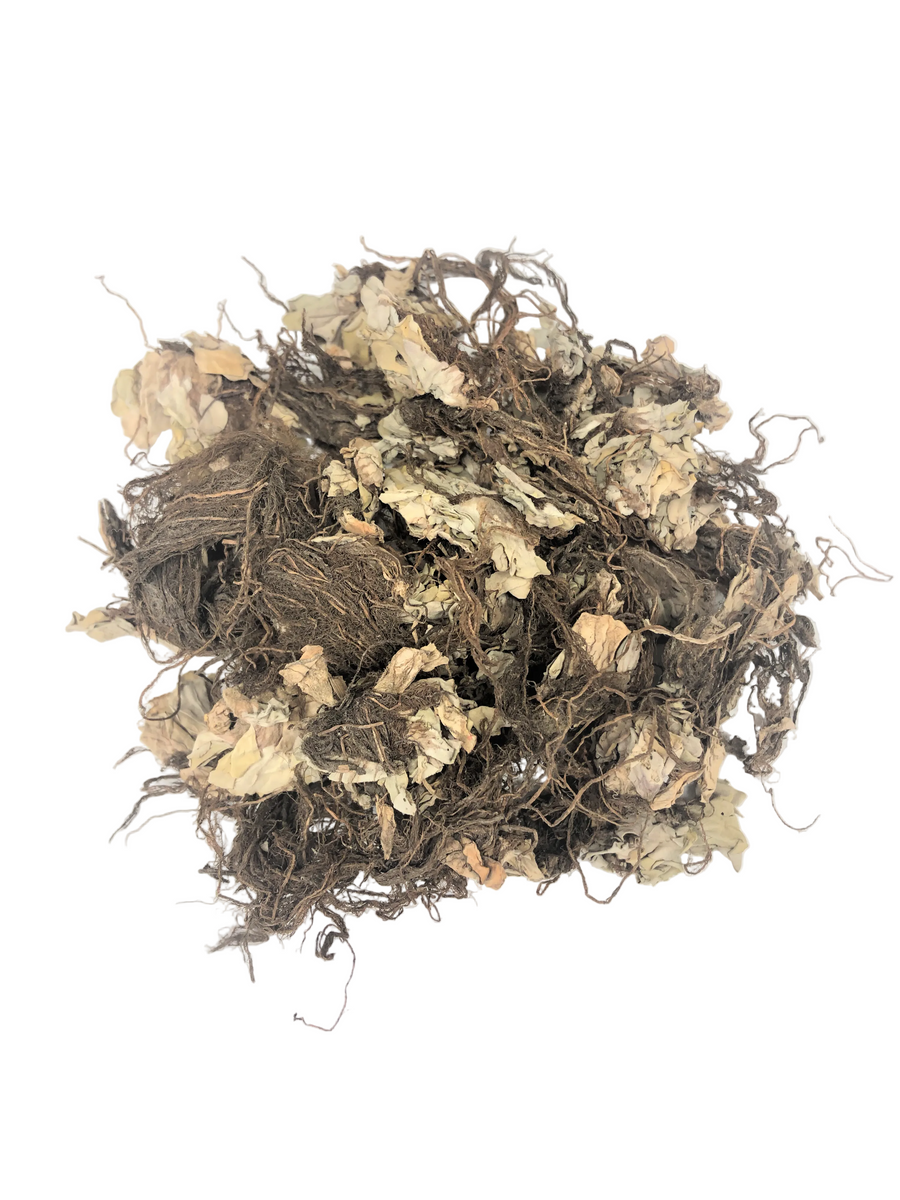 Fu Ping (Duckweed, Herba Spirodelae, 浮萍) – The Herb Depot