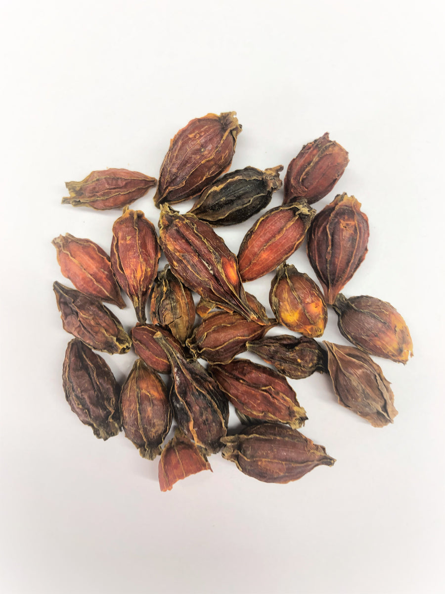 Zhi Zi Cape Jasmine Fruit Folium Gardeniae 栀子 Chinese Herbs